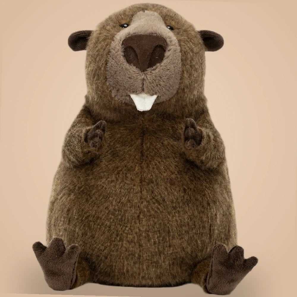 Briggs Beaver — front view
