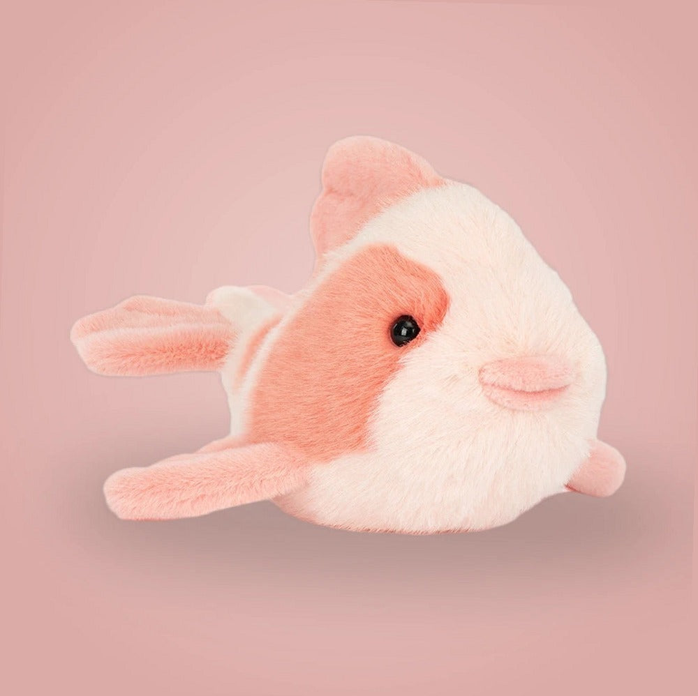 Fancy Carp — front view