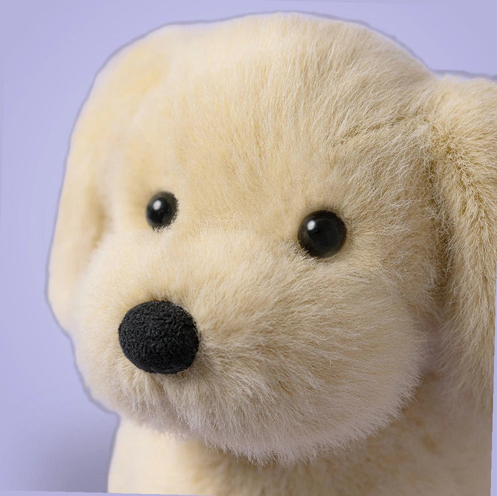 Golden Puppy — gallery view 2