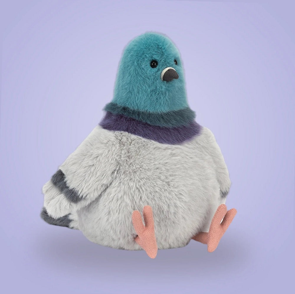 Strutton Pigeon — front view