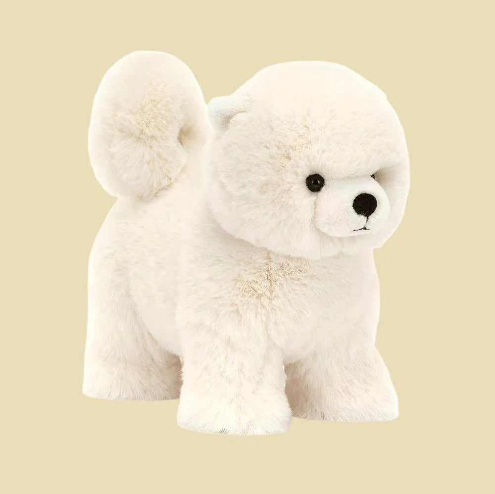 Daphne Pomeranian — front view