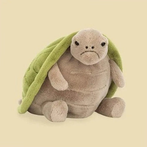 Timmy Turtle — front view