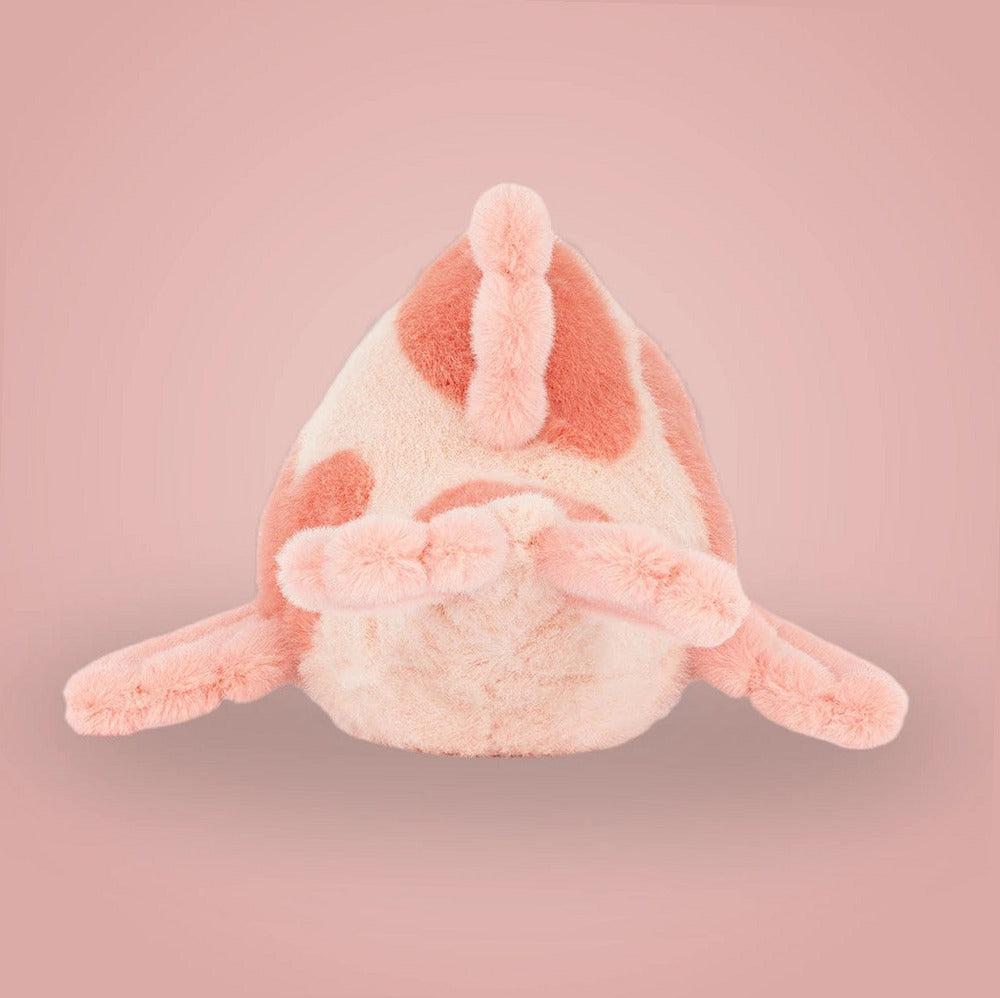 Fancy Carp — gallery view 4