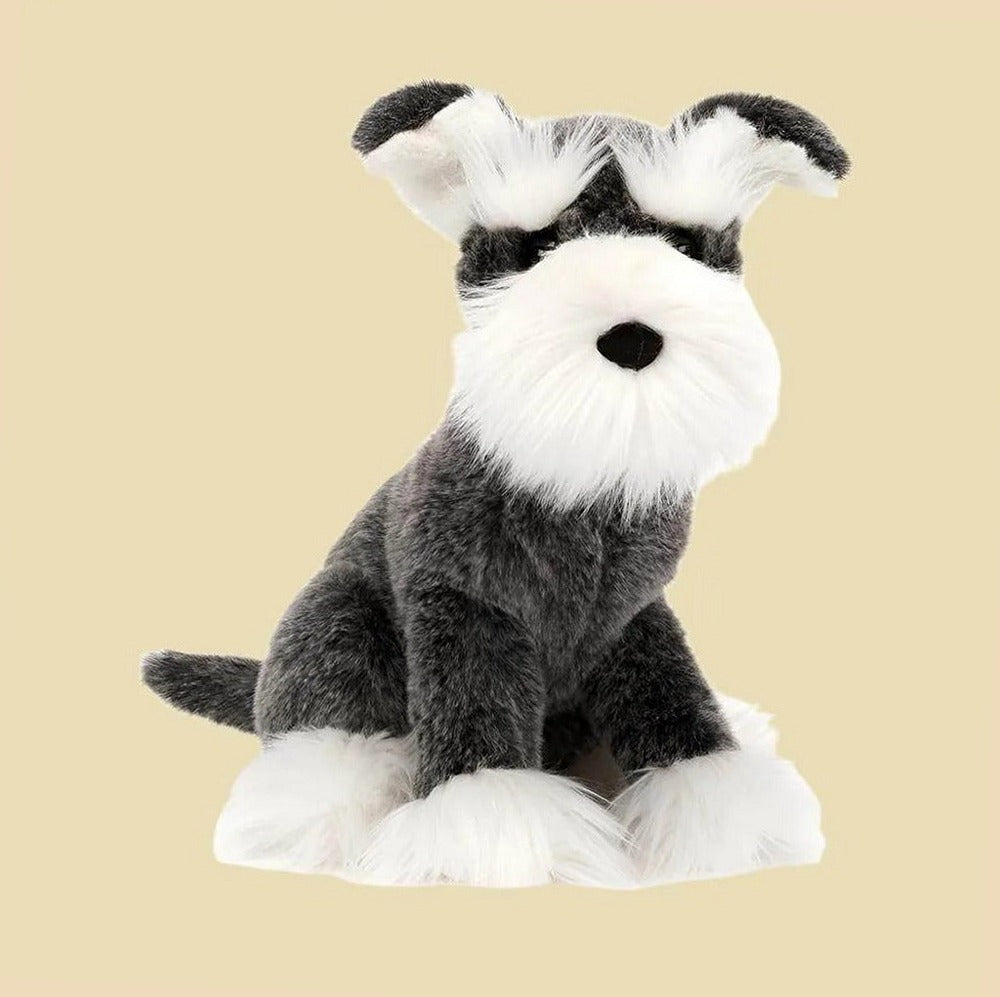 Lawrence Schnauzer — front view