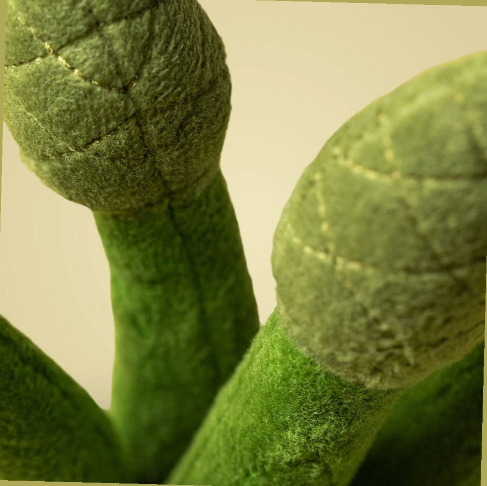 Amuseables Asparagus — gallery view 2