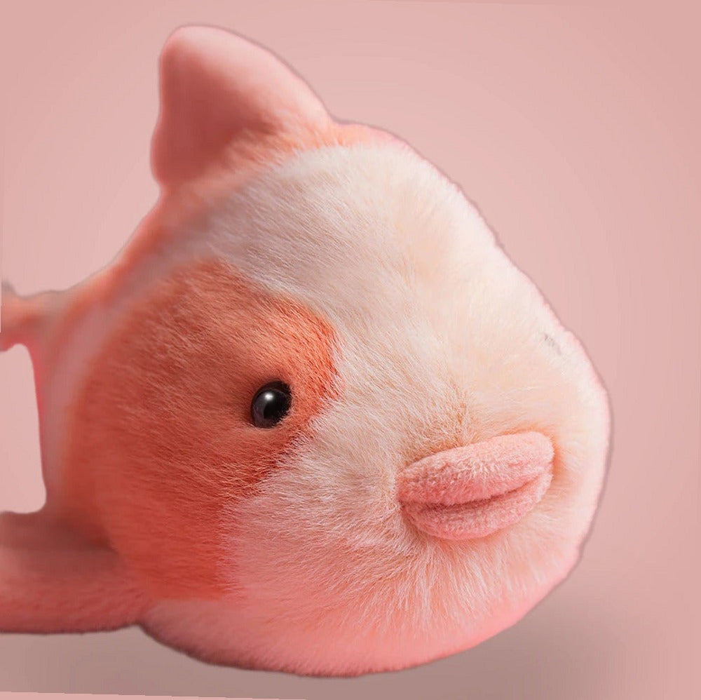 Fancy Carp — gallery view 2